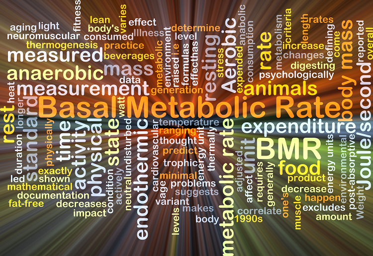 Basal Metabolic Age