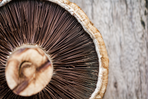 Portobello Mushrooms Motivation Recipe