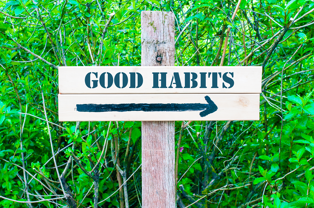 The Power of Good Habits