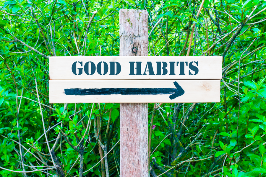 The Power of Good Habits