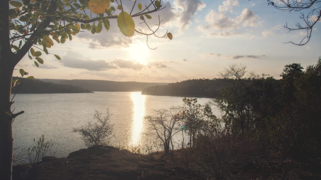 Shine Your Own Light